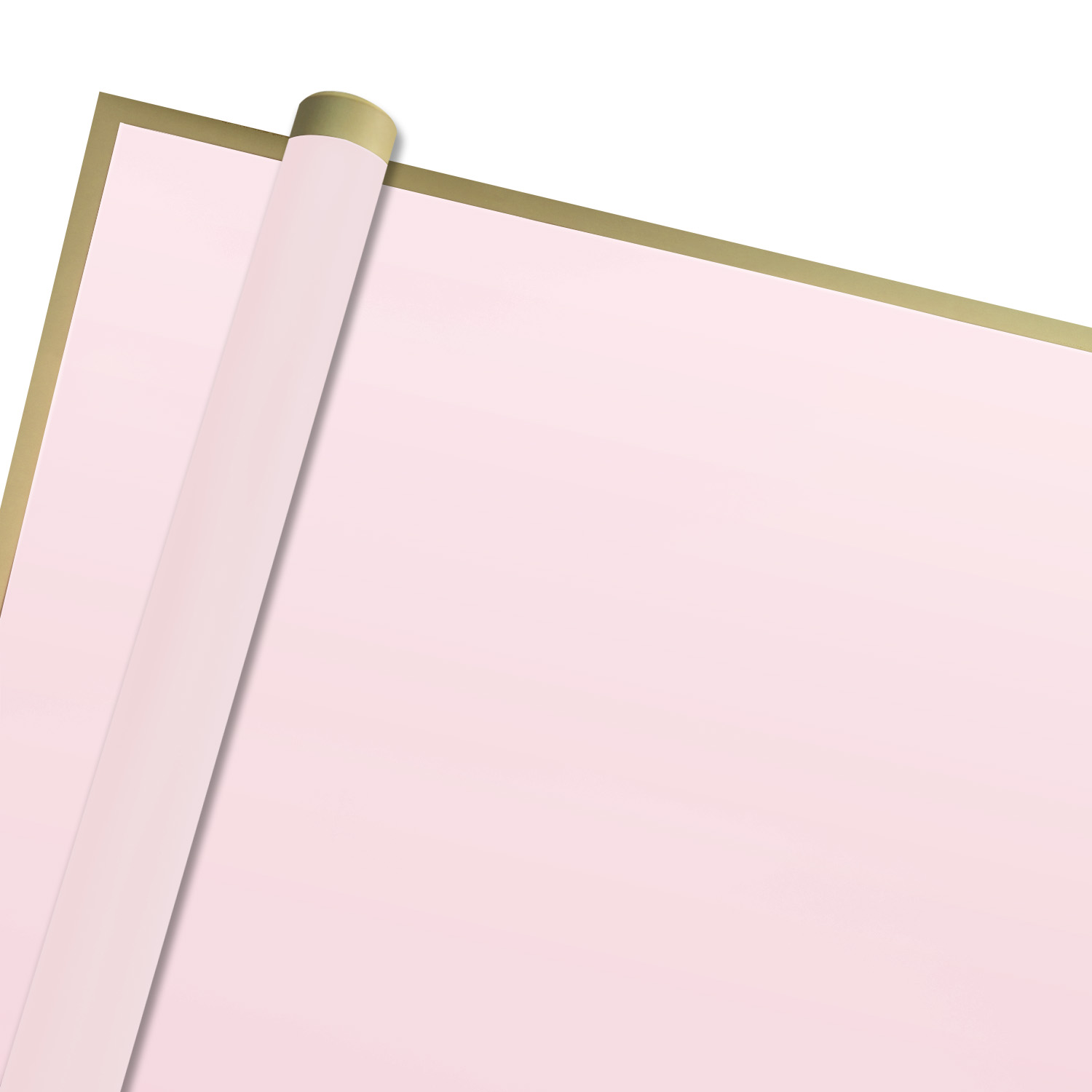 Imagen principal del producto