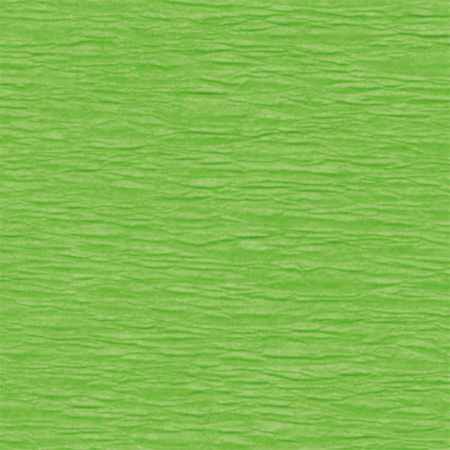 Imagen principal del producto