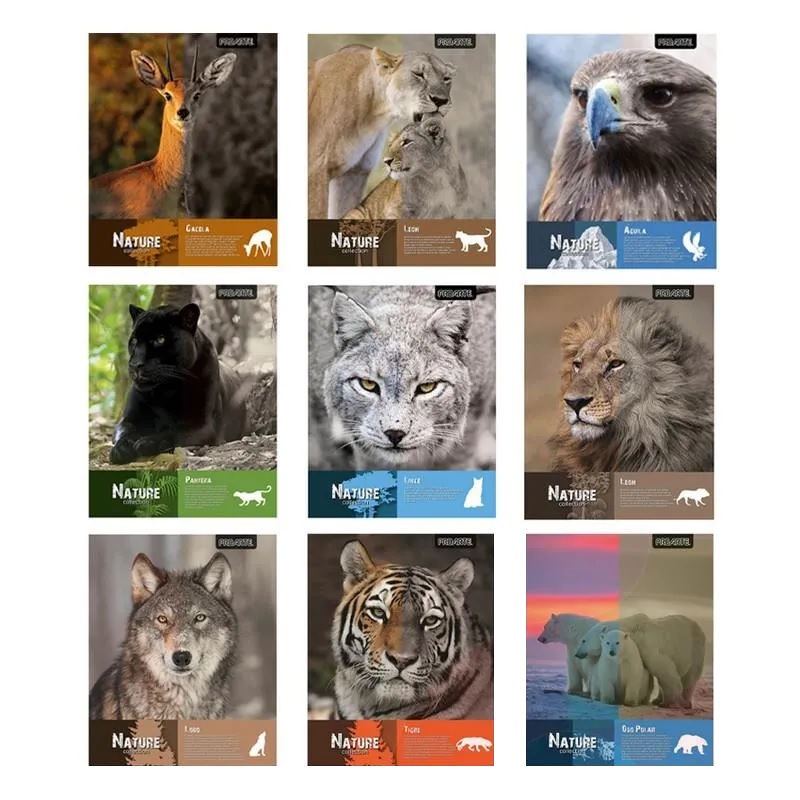 Imagen principal del producto